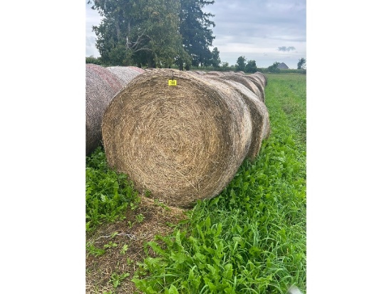 38 Round Bales Of Net Wrapped Hay