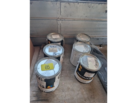 Automotive Paint