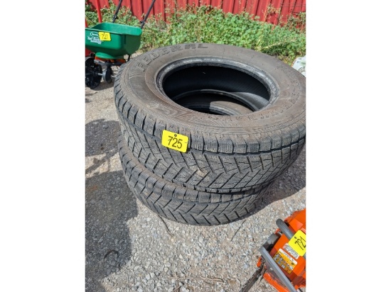 2 Snow Tires