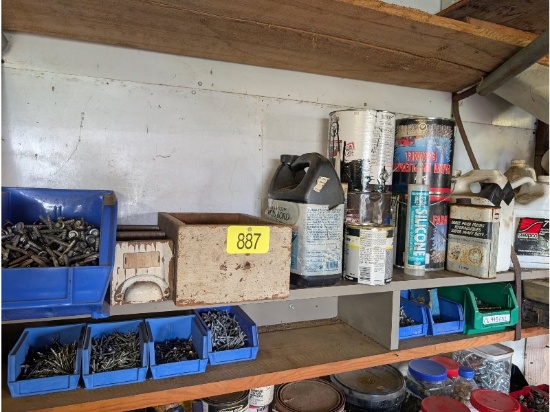 2 Shelves of Nails, Fasteners & Paint