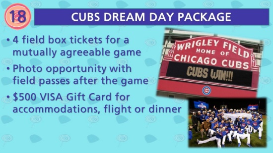 Cubs Dream Day Package