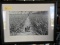 FRAMED PHOTOGRAPH - PINEAPPLE FIELD - 20'' x 26''