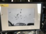 FRAMED PHOTOGRAPH - OLD CARS WITH SEAGULLS OVERHEAD - 14'' x 20''