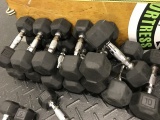 DUMBBELLS - 130LBS - 10LBS EACH