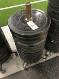 LBS RUBBER PLATE WEIGHTS - 14 x 25LBS - WITH ROLLING STAND