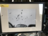 ARTWORK / PHOTOGRAPH - OLD CARS WITH SEAGULLS OVERHEAD - FRAMED - 14'' x 20''