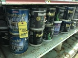 EASYCARE & WEATHERALL PAINT - 1G