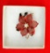 Faux Pearl Flower Brooch