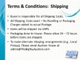 Terms and Conditions: Shipping