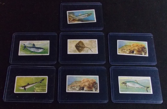 Lot of John Player & Sons "Sea Fishes" Tobacco Cards