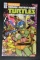 Teenage Mutant Ninja Turtles: Amazing Adventures #13A
