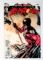 Bruce Wayne: The Road Home: Red Robin # 1