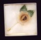 Flower Stickpin w/ Softgoods Petals