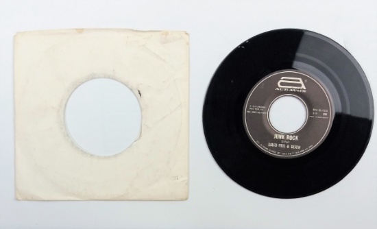 David Peel & Death "Junk Rock" "I Hate You" 45 RPM 1979 Auravox Vinyl Record