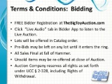 Terms and Conditions: Bidding