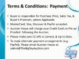 Terms and Conditions: Payment
