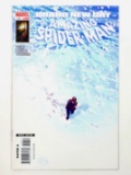 The Amazing Spider-Man, Vol. 2 #556