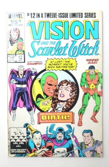 Vision and the Scarlet Witch, Vol. 2 #12