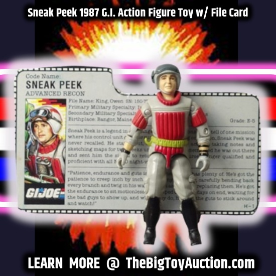 Sneak Peek 1987 G.I. Action Figure Toy w/ File Card