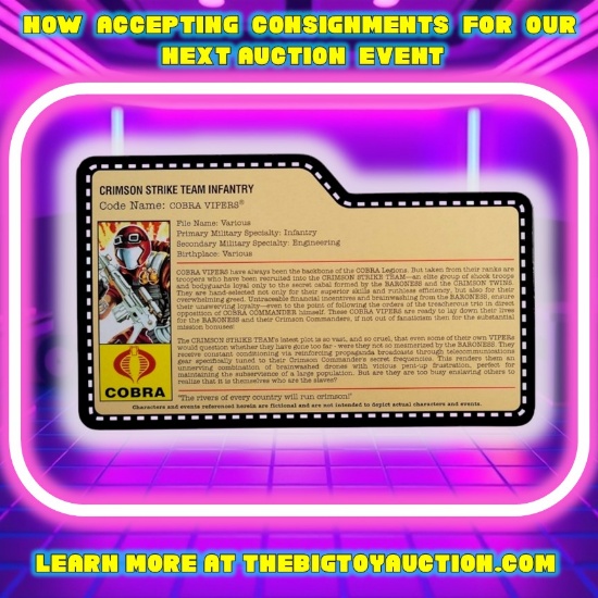 GI Joe Cobra Viper 2009 Crimson Strike Team JoeCon Convention Exclusive FileCard