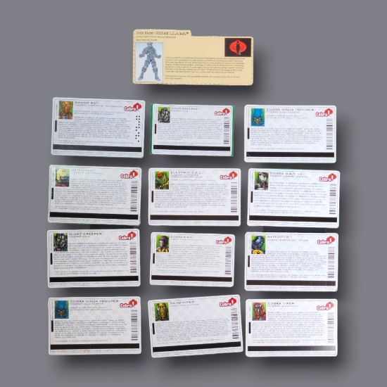 GI Joe Spytroops / Valor Vs. Venom Cobra Troop Builder File Card Grouping