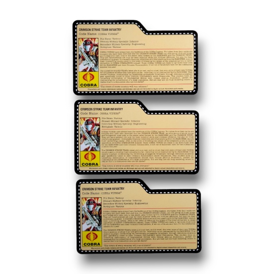 GI Joe Cobra Viper 2009 Crimson Strike Team JoeCon Convention Exclusive FileCard Grouping