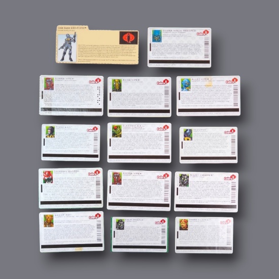 GI Joe Spytroops / Valor Vs. Venom Cobra Troop Builder File Card Grouping