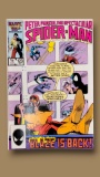 Peter Parker The Spectacular Spider-Man #123 (1987) Marvel Comic Peter David