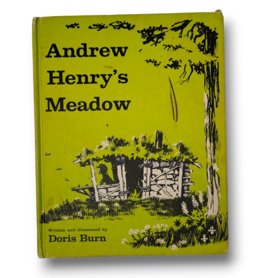Andrew Henry's Meadow (1963 First Edition) - Doris Burn Illustrated Children's Classic