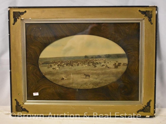 Canvas print of Cowboy roping a cow on the prairie, framed size of 25" x 19"