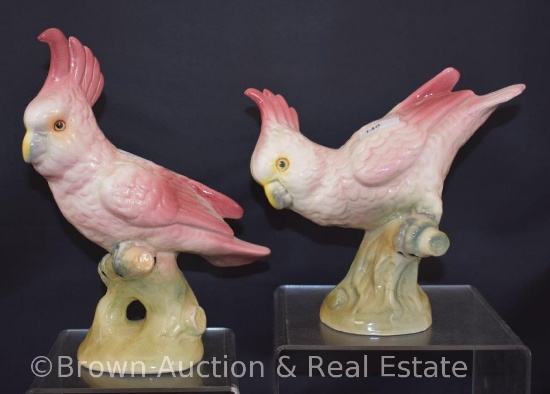 (2) Brad Keeler pink cockatoos