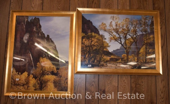(2) Large gold framed pictures taken in Zion National Park