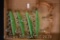 (4) Green Depression glass curtain tie backs and (2) peach Depression drawer pulls
