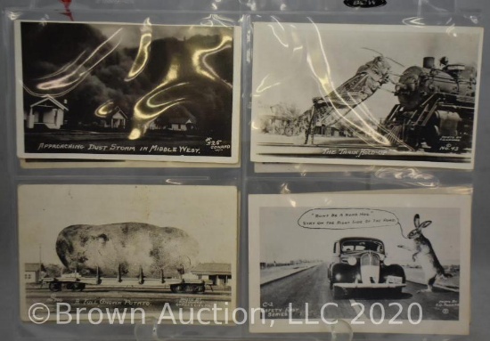 (8) Post cards - oversized animals, etc.