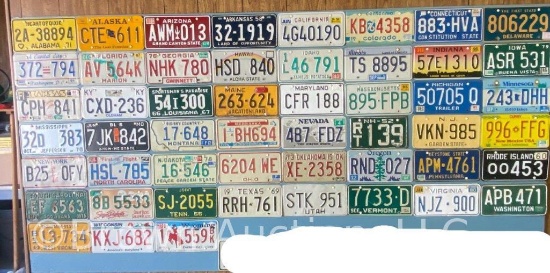 (51) different State license tags - 1 for each state and DC