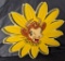 EMBOSSED DIE CUT SIGN BORDENS DAIRY ELSIE DAISY