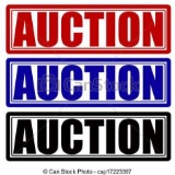 ****IMPORTANT AUCTION INFORMATION PLEASE READ***DO NOT BID ON THIS ITEM