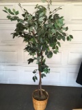 Potted artificial Ficus tree, 6 ft. tall