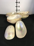 Abalone Shell Serving Dishes