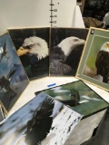 Wildlife Framed Eagle Portraits
