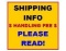 **** Shipping Information. Do not bid on this item****