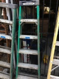 Werner 6' ladder