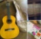 Vintage Manuel Rodriguez Luthier, signed #260 Acoustic guitar with soft case & 3 musical books