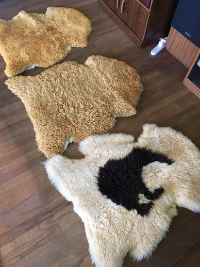 Approximately 33" x 28" sheepskin rugs