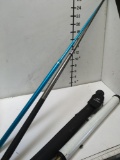 2 pool sticks ( 1Graphite with Eastpoint bag) and telescope piece