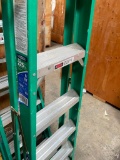 6' Werner load capacity 225lbs ladder