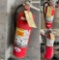 2) Badger 1) unknown Fire extinguishers