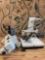 Microscope