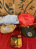 Assorted bags/ fanny packs. 5 pieces