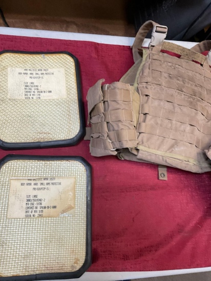 Vest and inserts